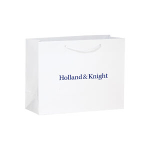 13" x 5" x 10" " gift bag