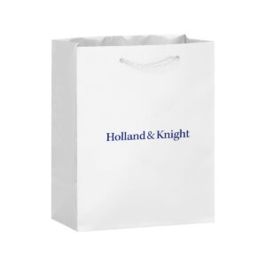 8" x 4" x 10"" gloss gift bag